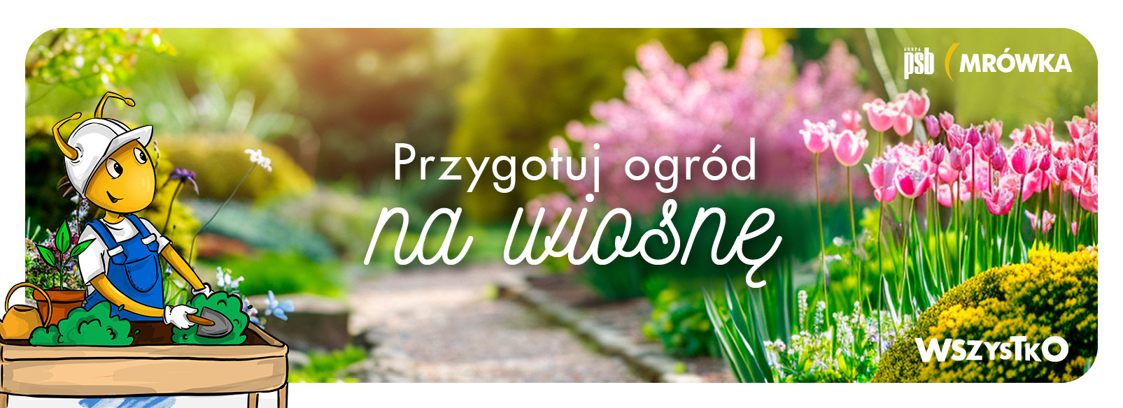 Grupa PSB mrowka Mrówka Parczew